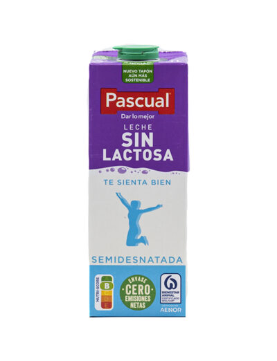 PascualSINLACTOSABrick